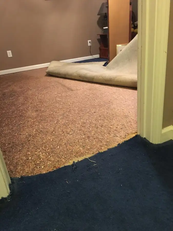 Carpet pad removal revealing water damage during Drying & Dehumidification in Chenango