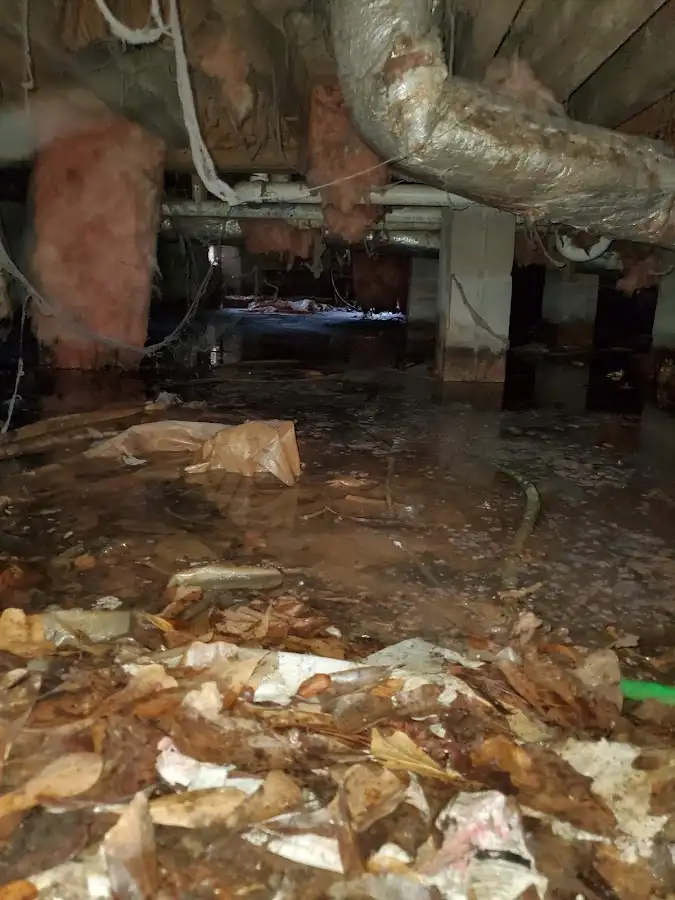 Crawl space flood assessment for Leak Detection & Repair in Chenango