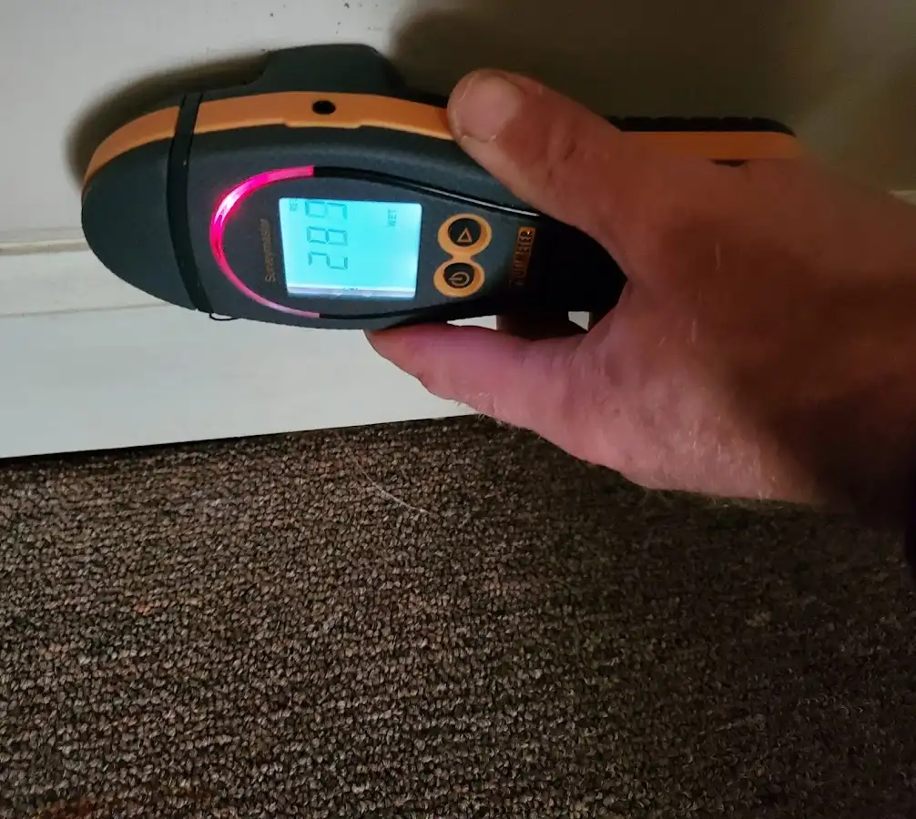 Moisture detection at baseboard during Mold Inspection & Testing in Chenango